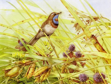 bird and darning needle Oil Paintings